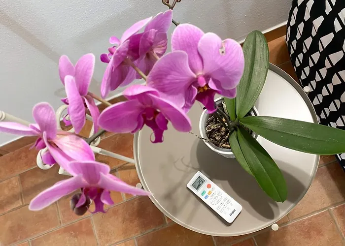 La Cantina del Podere dei Boni Fauglia